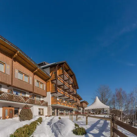 Ferienalm Panorama Hotel Schladming